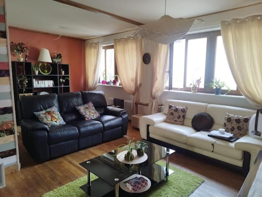 Le Passage Du Faubourg, Agreable T3 En Duplex De 120M2 Apartment Saint-Leonard-de-Noblat Luaran gambar
